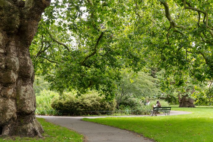 A quiet park scene with a winding path, large trees, and a person sitting on a bench in the distance.