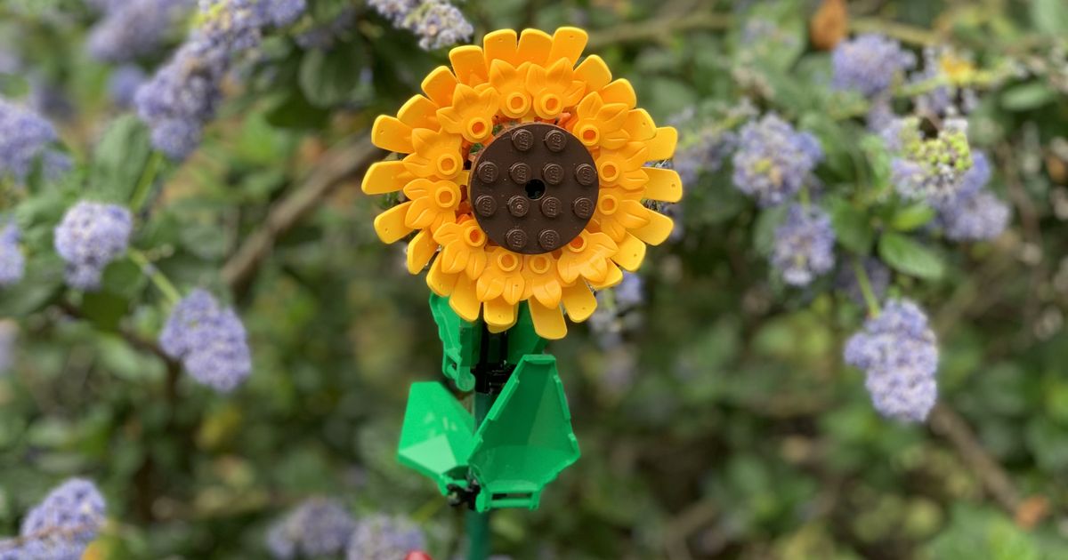 Flowers of Remembrance: A Grief Walk & Botanical Lego Building