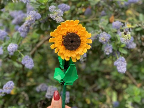 Hand holding a LEGO sunflower with a lush background of green leaves and clusters of light purple flowers.