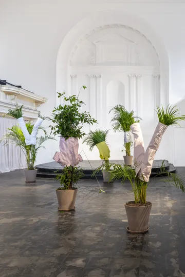 Potted plants in a spacious, white room adorned with colorful shirts, near an ornate archway and draped backdrop.