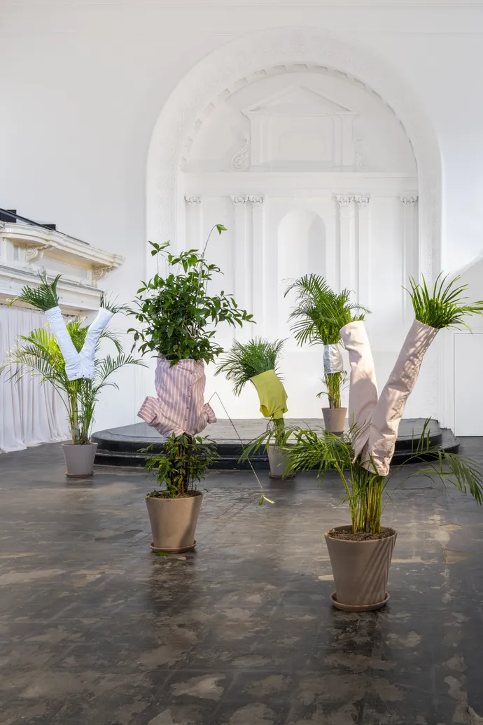Potted plants in a spacious, white room adorned with colorful shirts, near an ornate archway and draped backdrop.