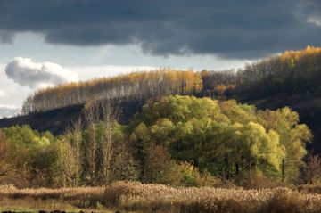 A Splash of Colour Photography Exhibition