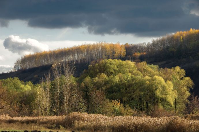 A Splash of Colour Photography Exhibition
