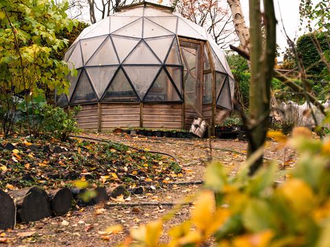 A geodesic dome greenhouse with a wooden base sits among autumn trees and fallen leaves in a garden setting.