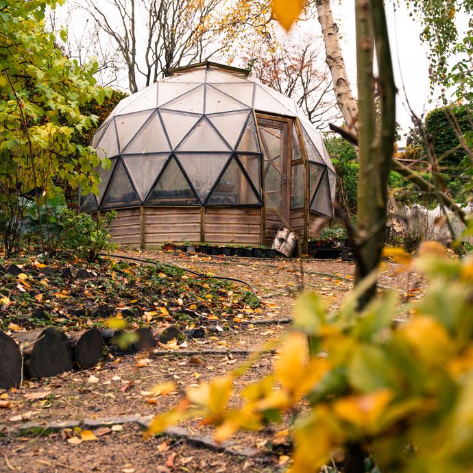 A geodesic dome greenhouse with a wooden base sits among autumn trees and fallen leaves in a garden setting.