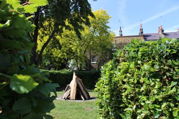 A small stack of wooden planks arranged in a grassy garden area, surrounded by lush green hedges and trees on a sunny day.