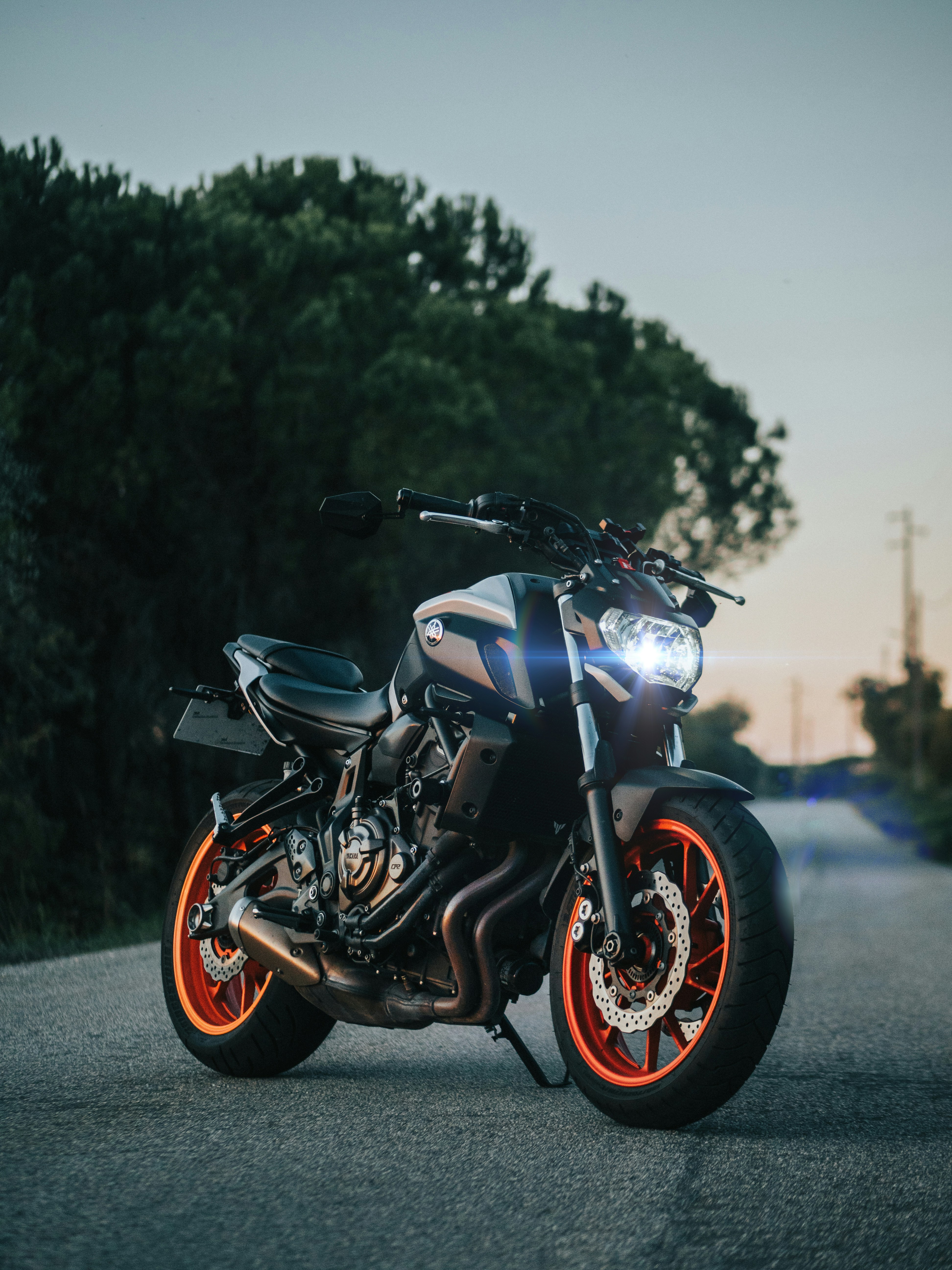 ricardo-carvalho-grb9xfdippc-unsplash