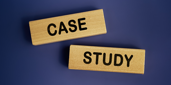 Auf zwei Bausteinen steht "Case" und "Study".