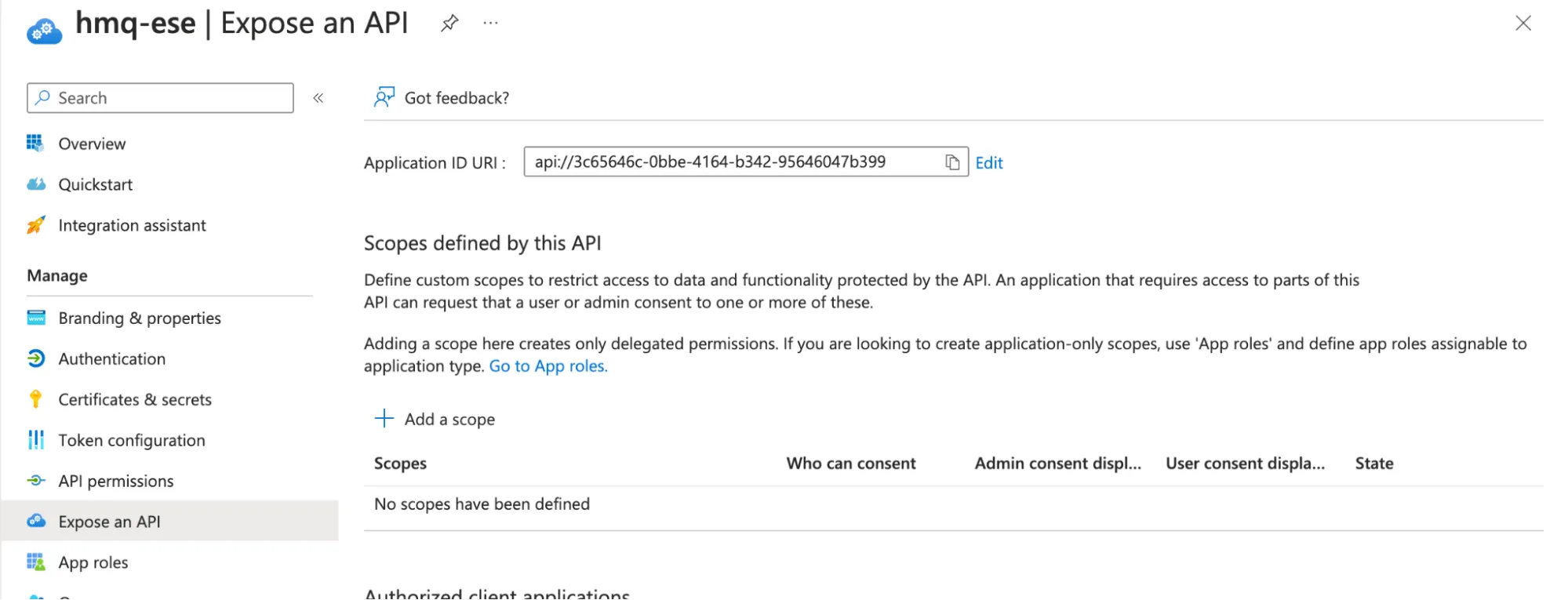 HiveMQ ESE - exposing an API
