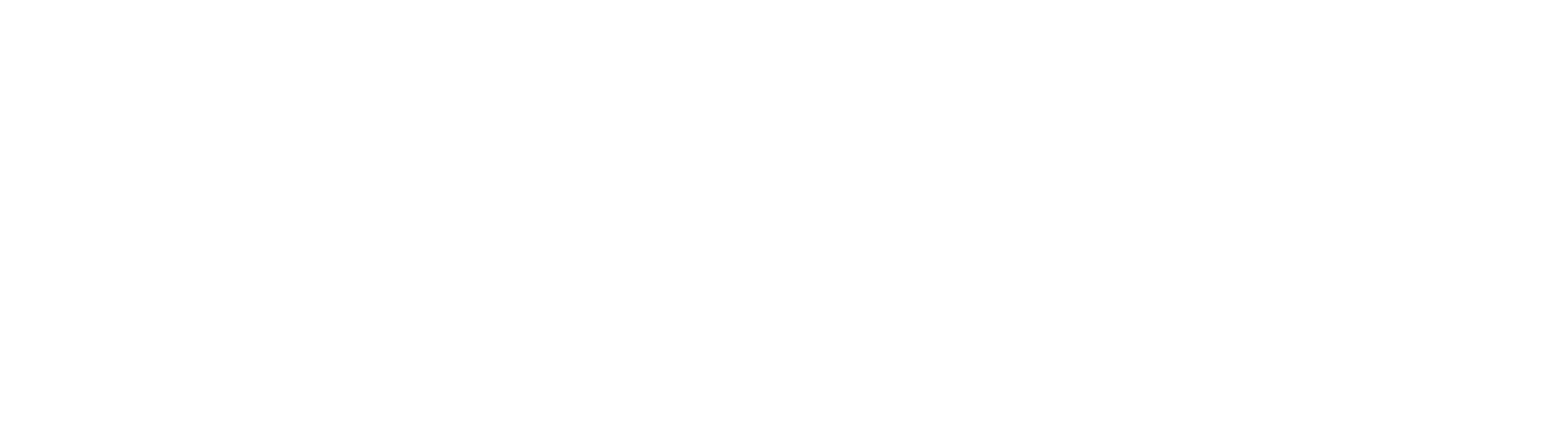 Braveheart Wireless
