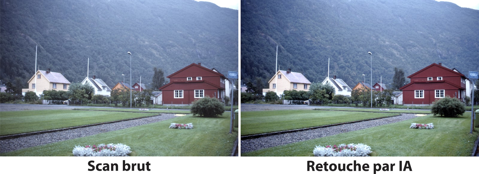 Side-by-side comparison of a landscape photo; original on the left, AI-enhanced on the right, showing brighter colors and clarity.