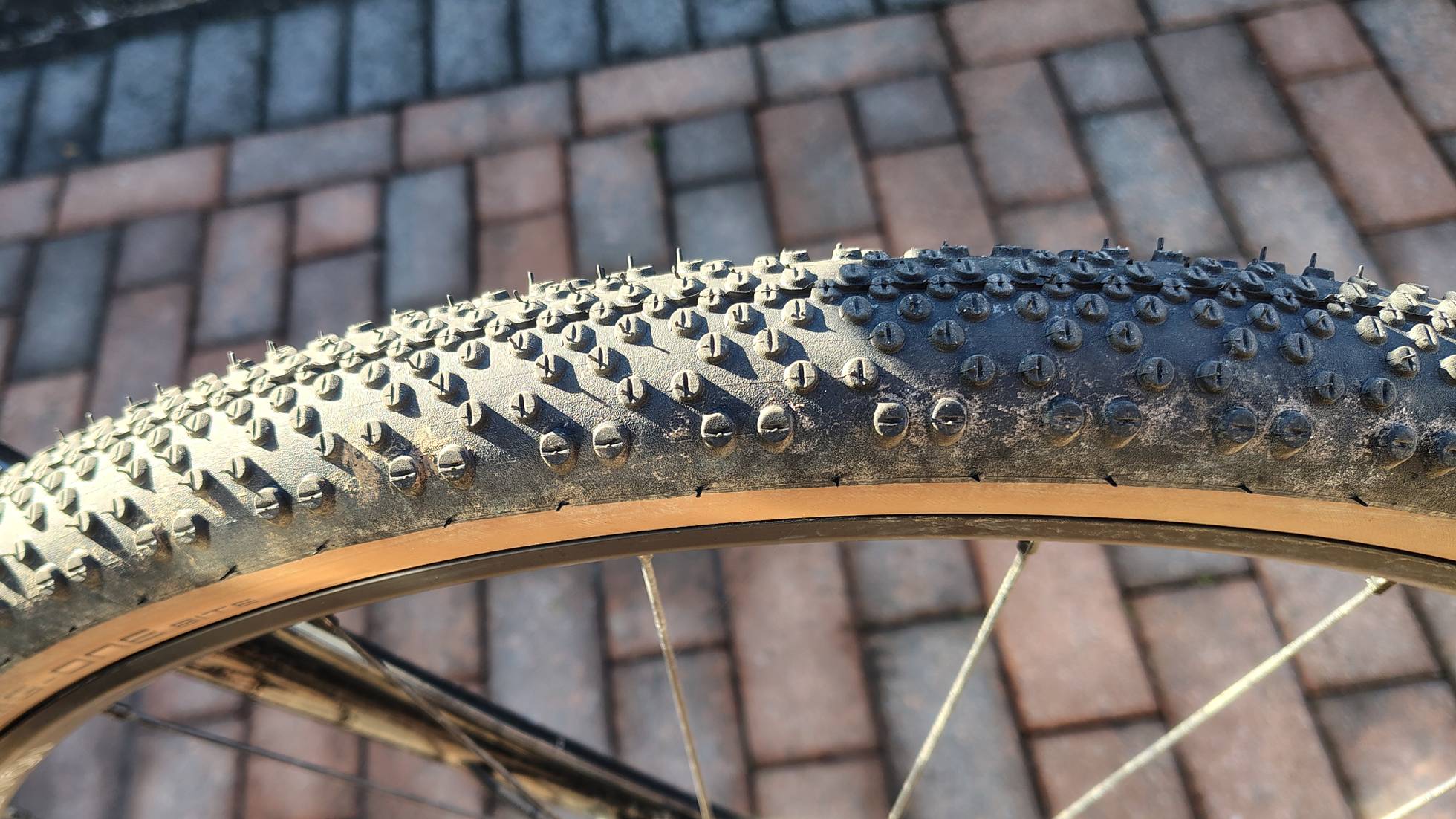 Schwalbe G-ONE Bite Review