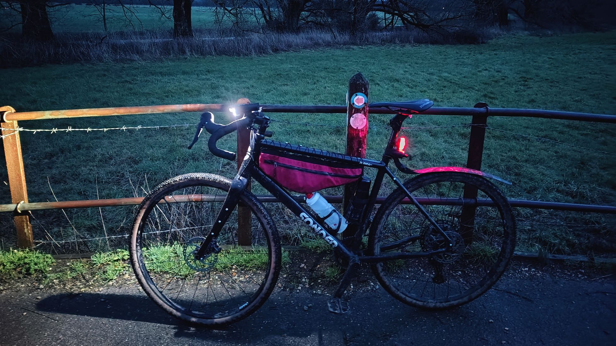 New Forest - rideable even in the wet winter