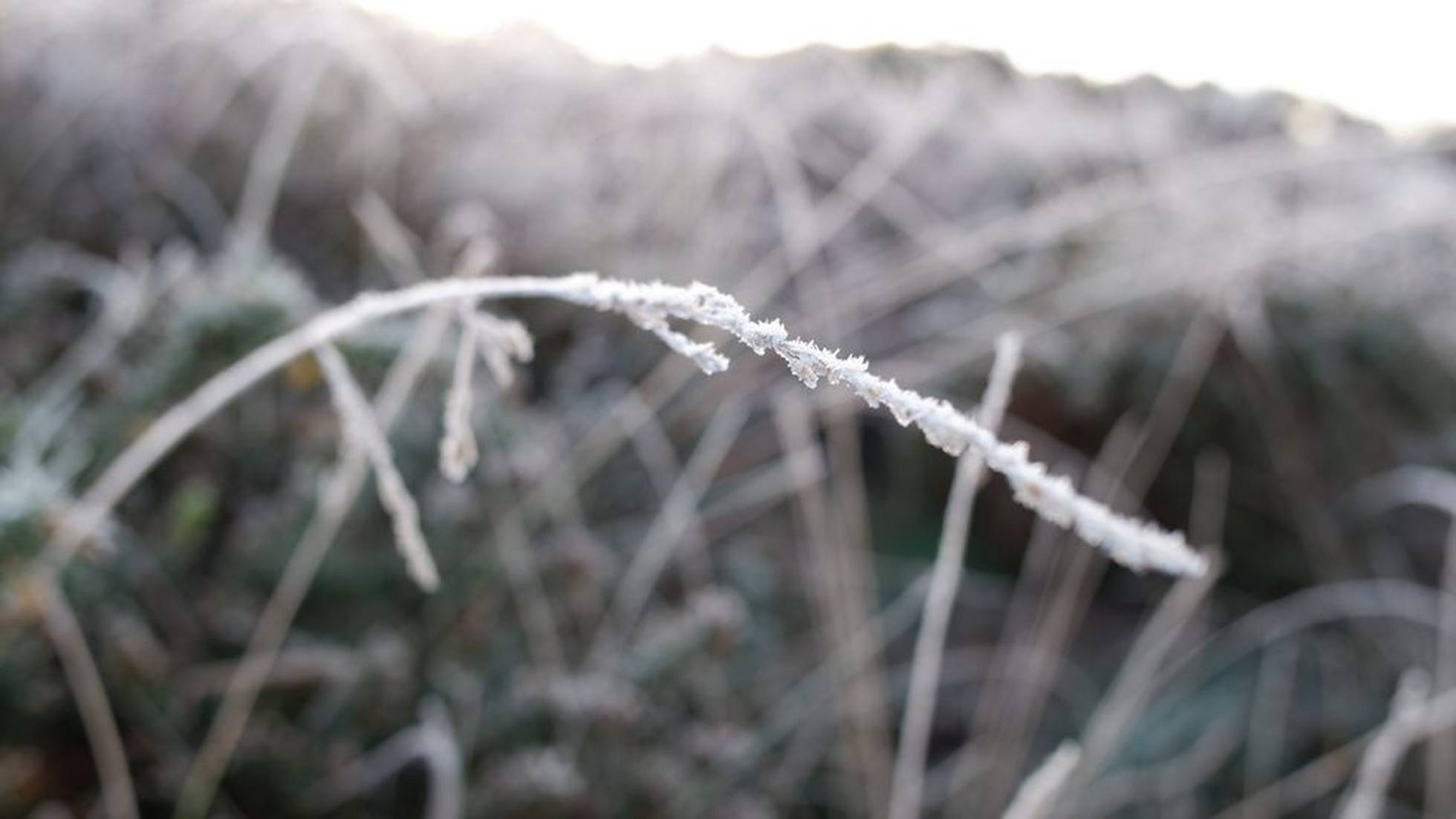 There is something special about the feeling of conquering the cold while out on two wheels