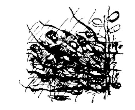 Musica nel Mendrisiotto