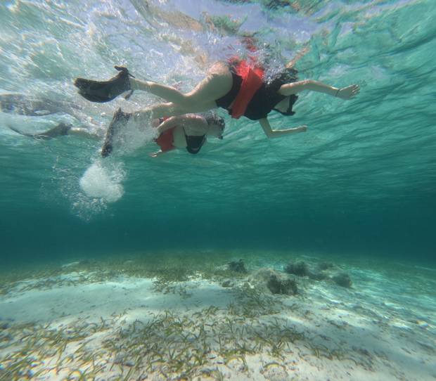 Conservation from Reef to Ridge: An Experiential Learning Excursion in Belize 