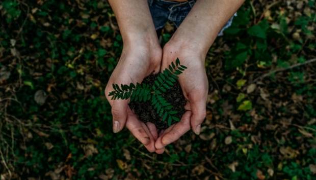 Theory of knowledge: Sustainability