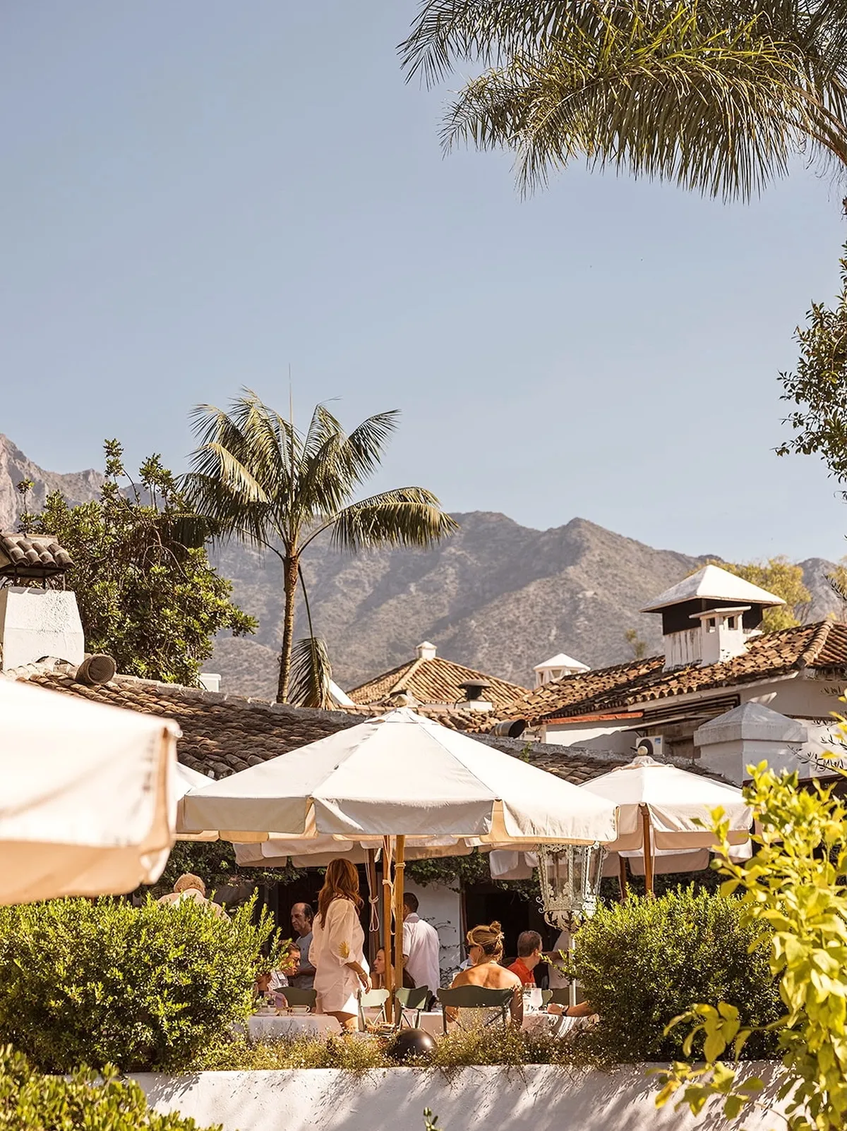 Restaurant El Olivar by Chef Andrés Marbella club hotel
