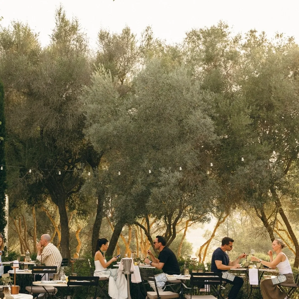 Outdoor restaurant Las paleras Terrace Finca Serena