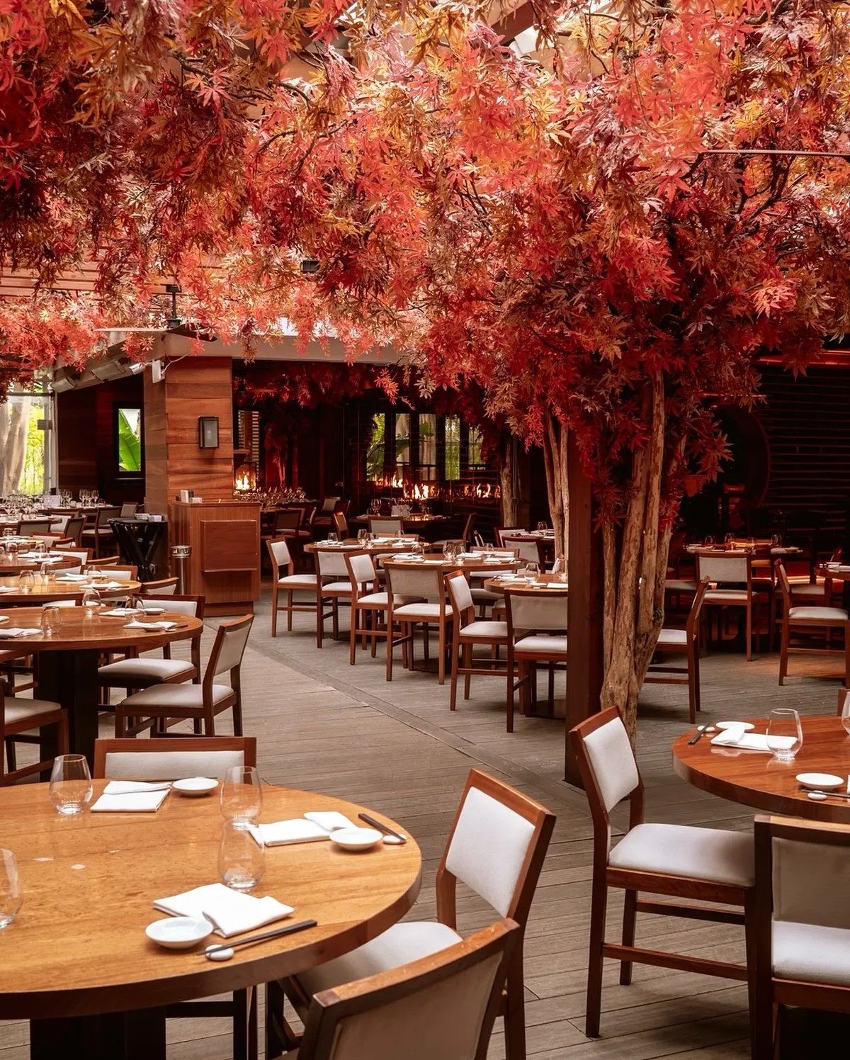 Restaurant Nobu marbella Puente romano marbella