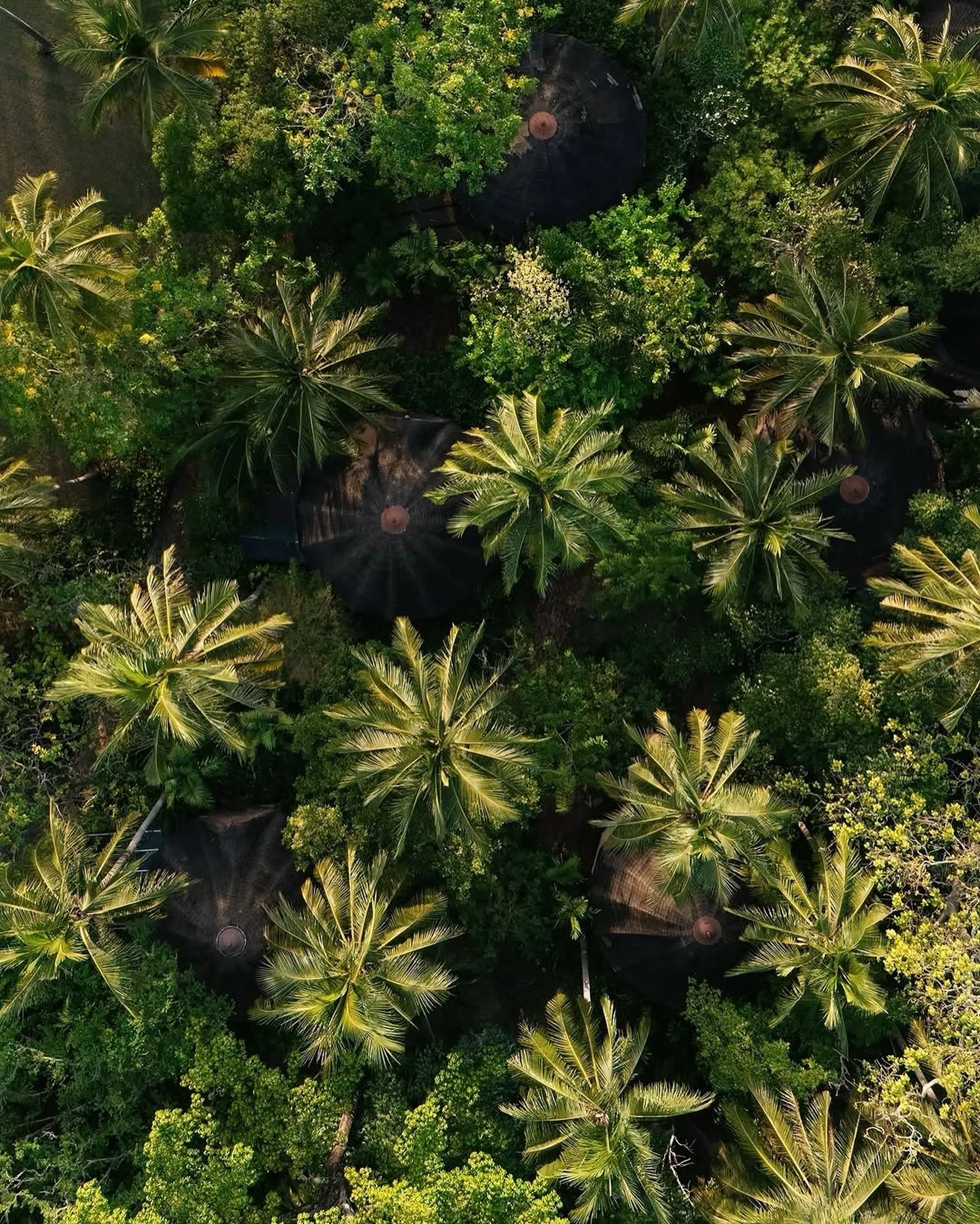 Plan je luxe reis met Senses naar het prachtige Krabi, Thailand