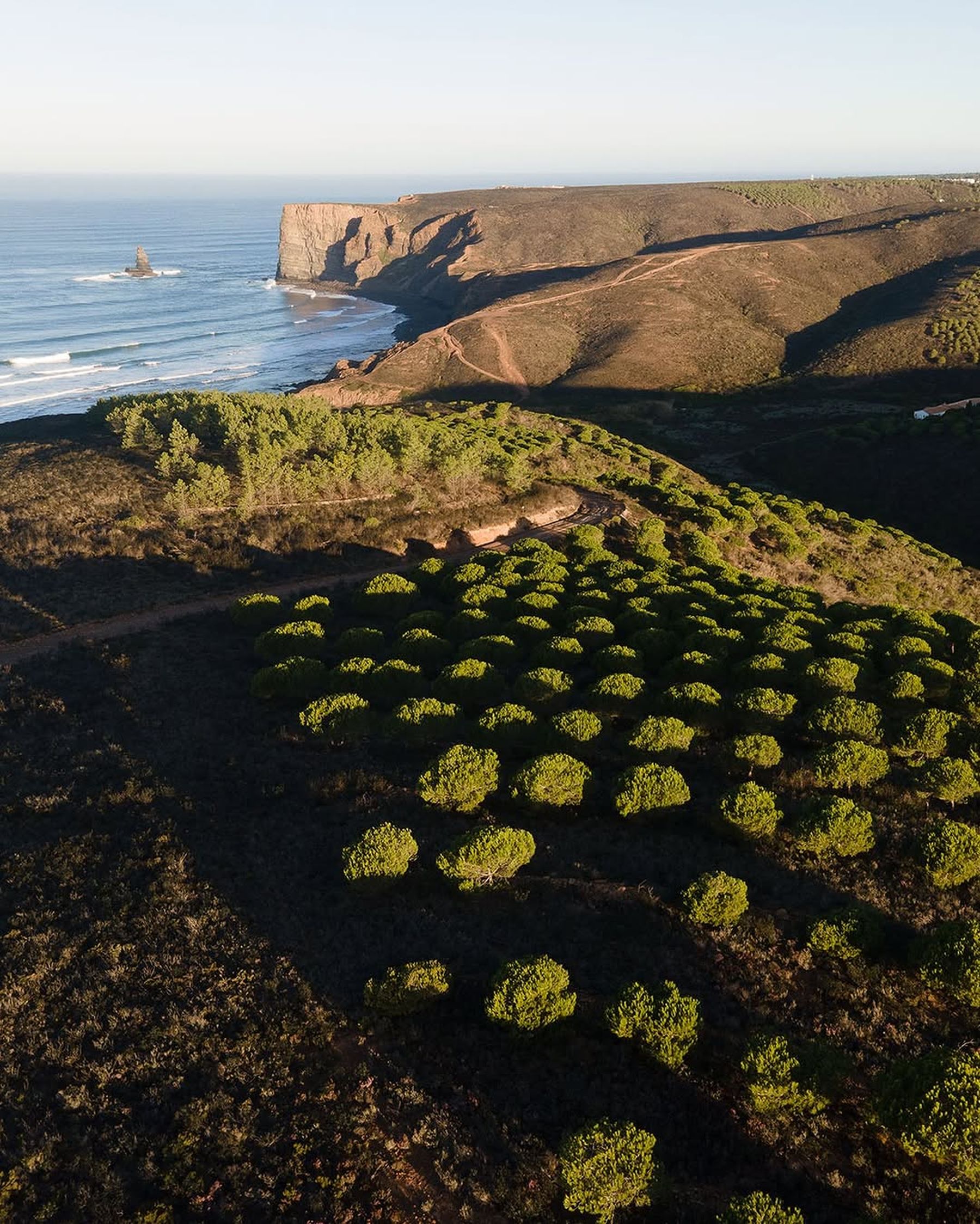 Praia do Canal Nature Retreat | Senses
