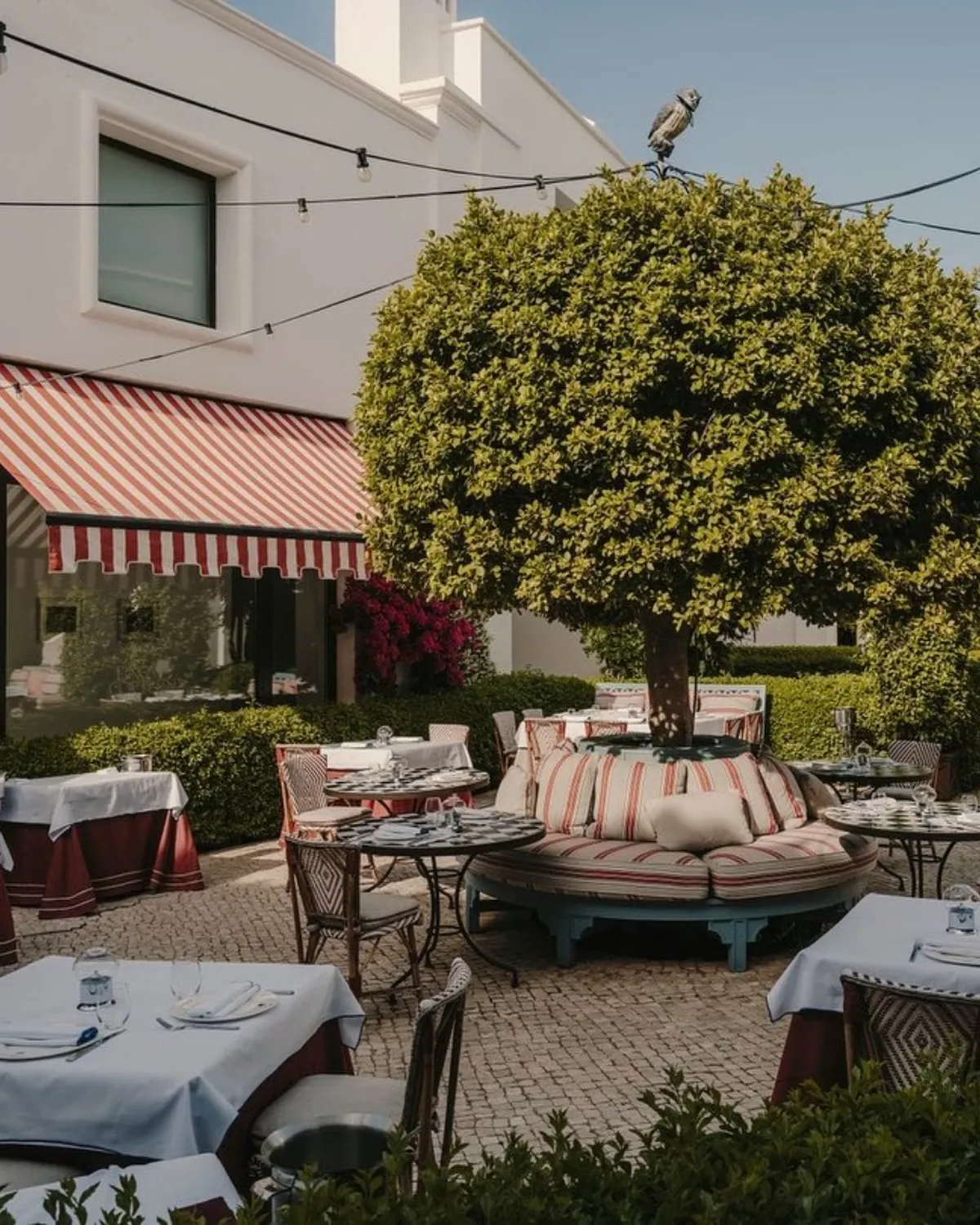 Outdoor Restaurant Don giovanni Finca Cortesin