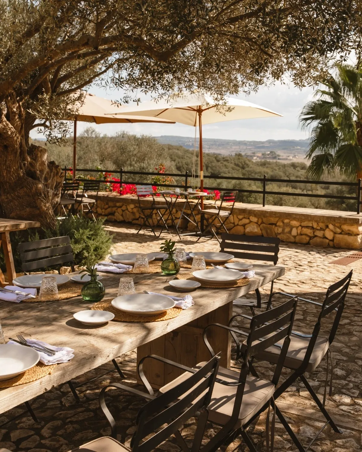 Los Olivos Terrace Finca Serena