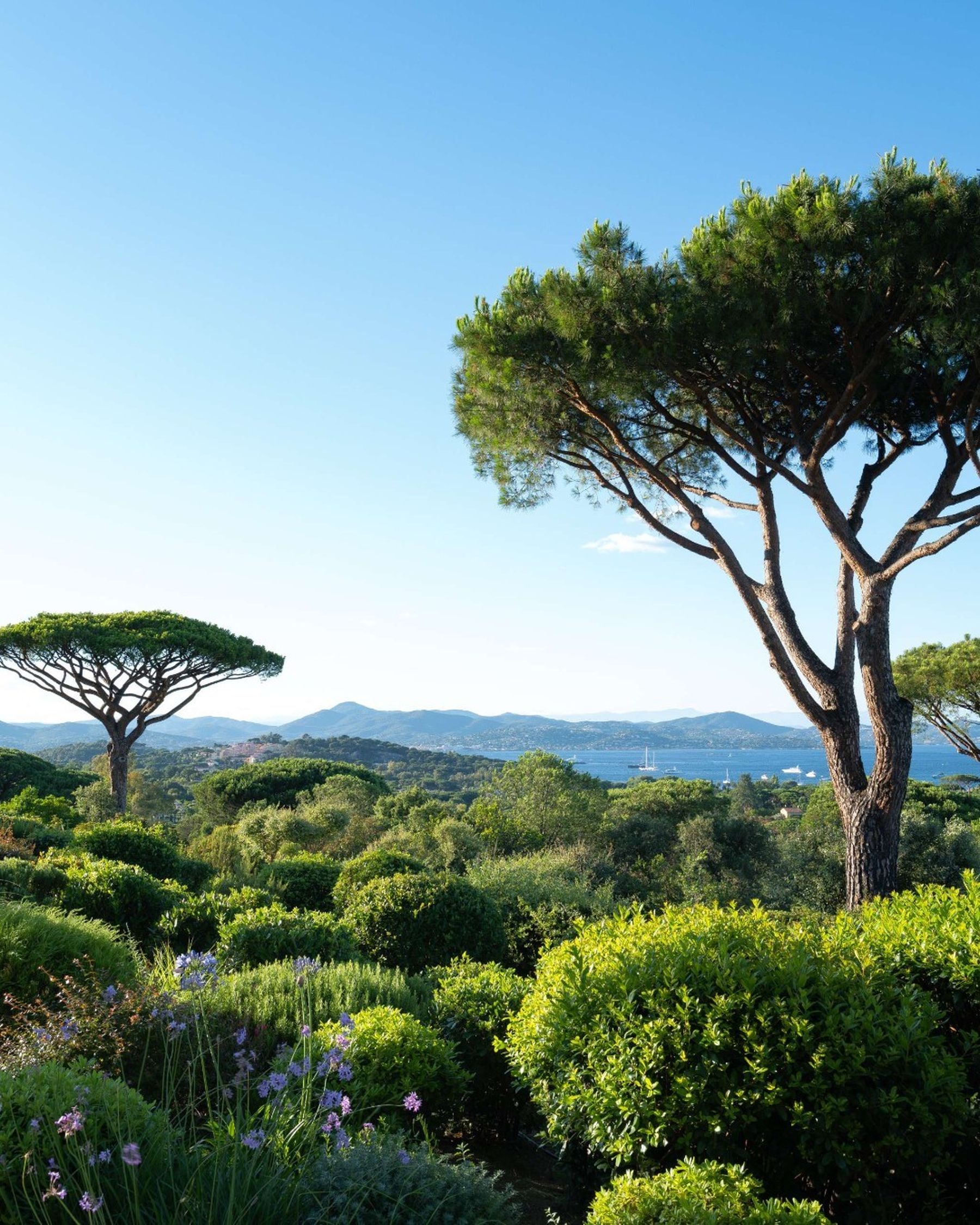 Saint-Tropez: ultieme bestemming voor een stijlvolle luxe vakantie | Senses