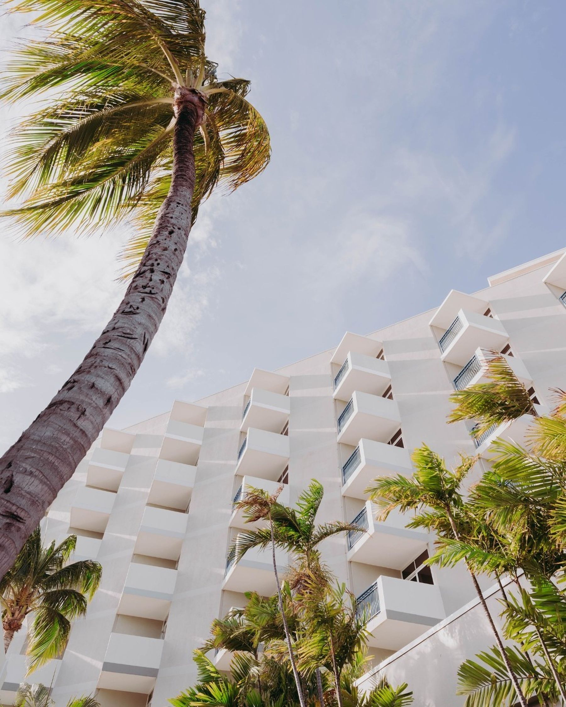 Een luxe reis naar Bonaire: Witte stranden en palmbomen | Senses