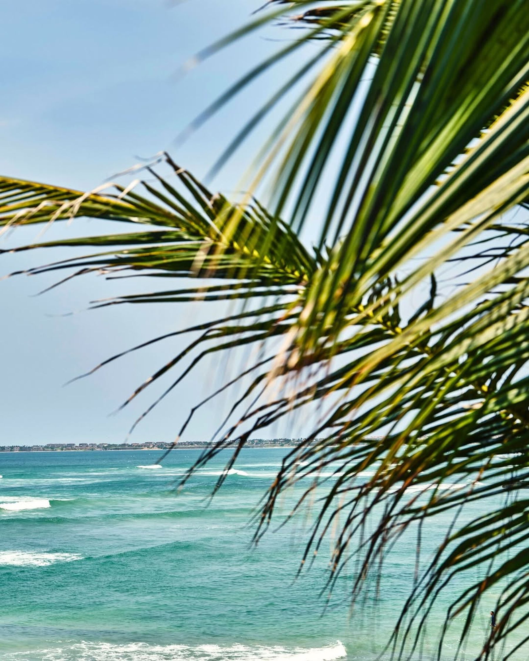Ervaar een luxe vakantie aan de kustlijn van Punta Mita, een verborgen juweel van Mexico | Senses