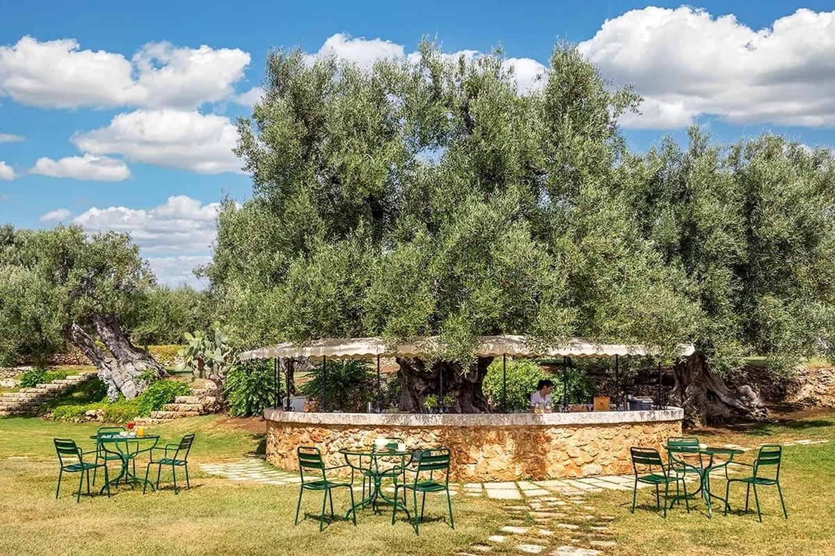 ‘Pool Bar’ Masseria San Domenico