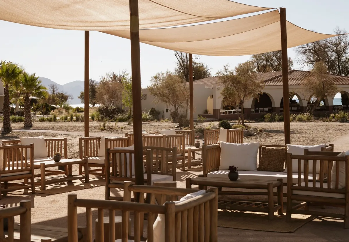 Surfer Maya Canteen Domes Aulus Zante, Autograph Collection