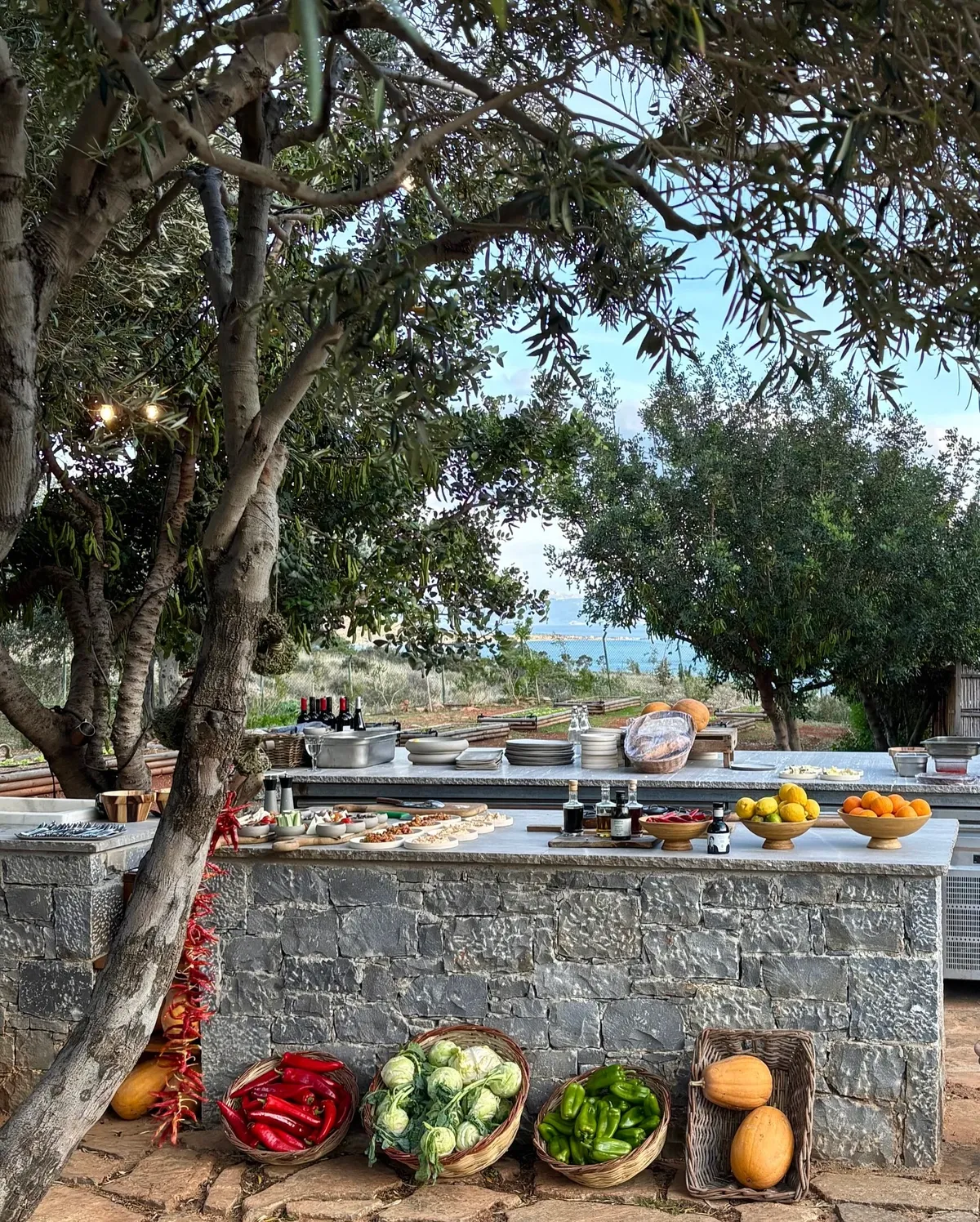 Phāea Farmers Feast Pop Up Phaea Blue, SLH