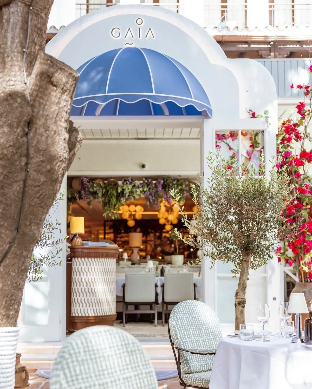 Restaurant Gaia Puente romano marbella