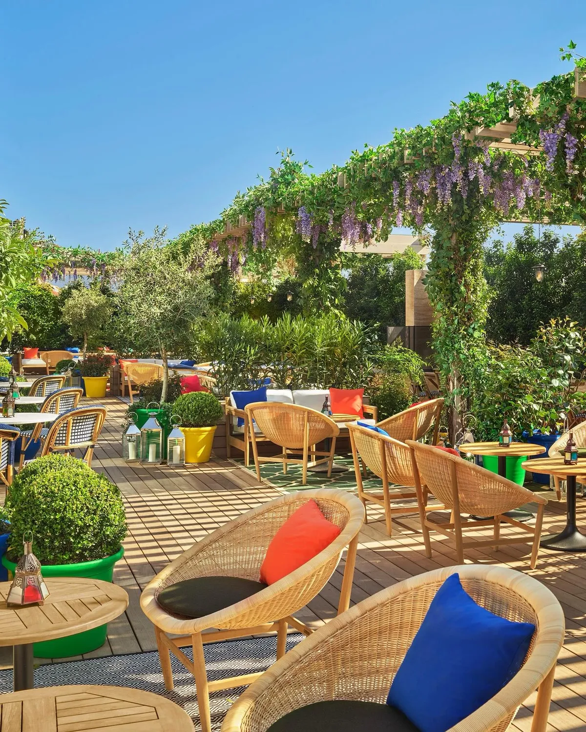 Terras Oroya & The Roof The madrid EDITION
