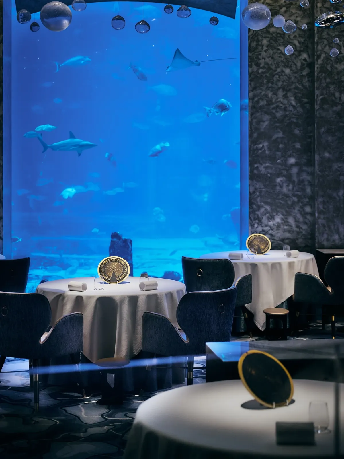 Ossiano Atlantis The Palm