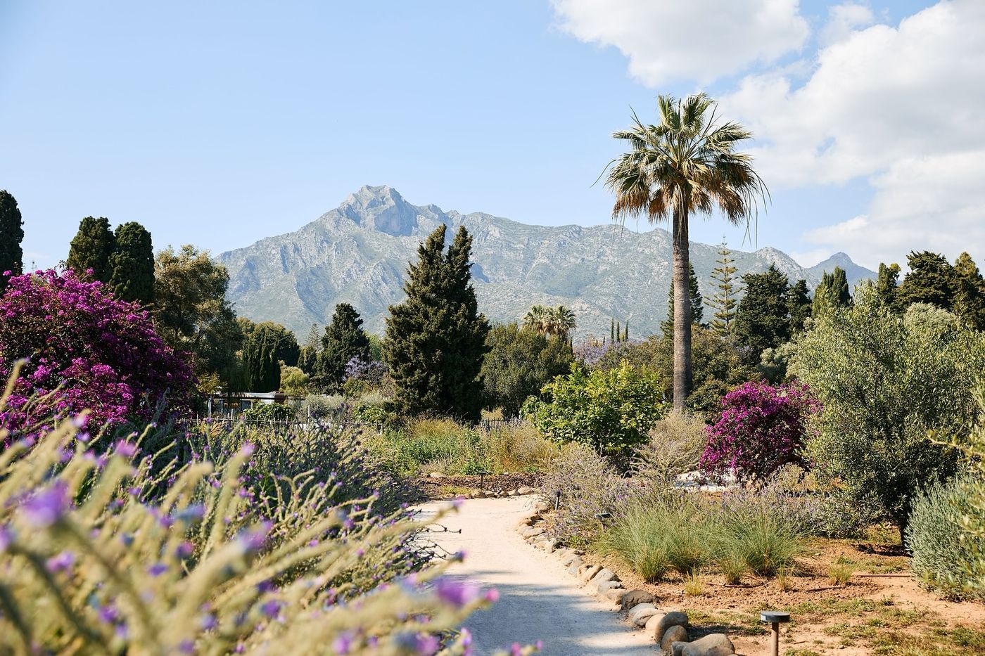 Ontdek luxe hotels en resorts in Marbella | Senses