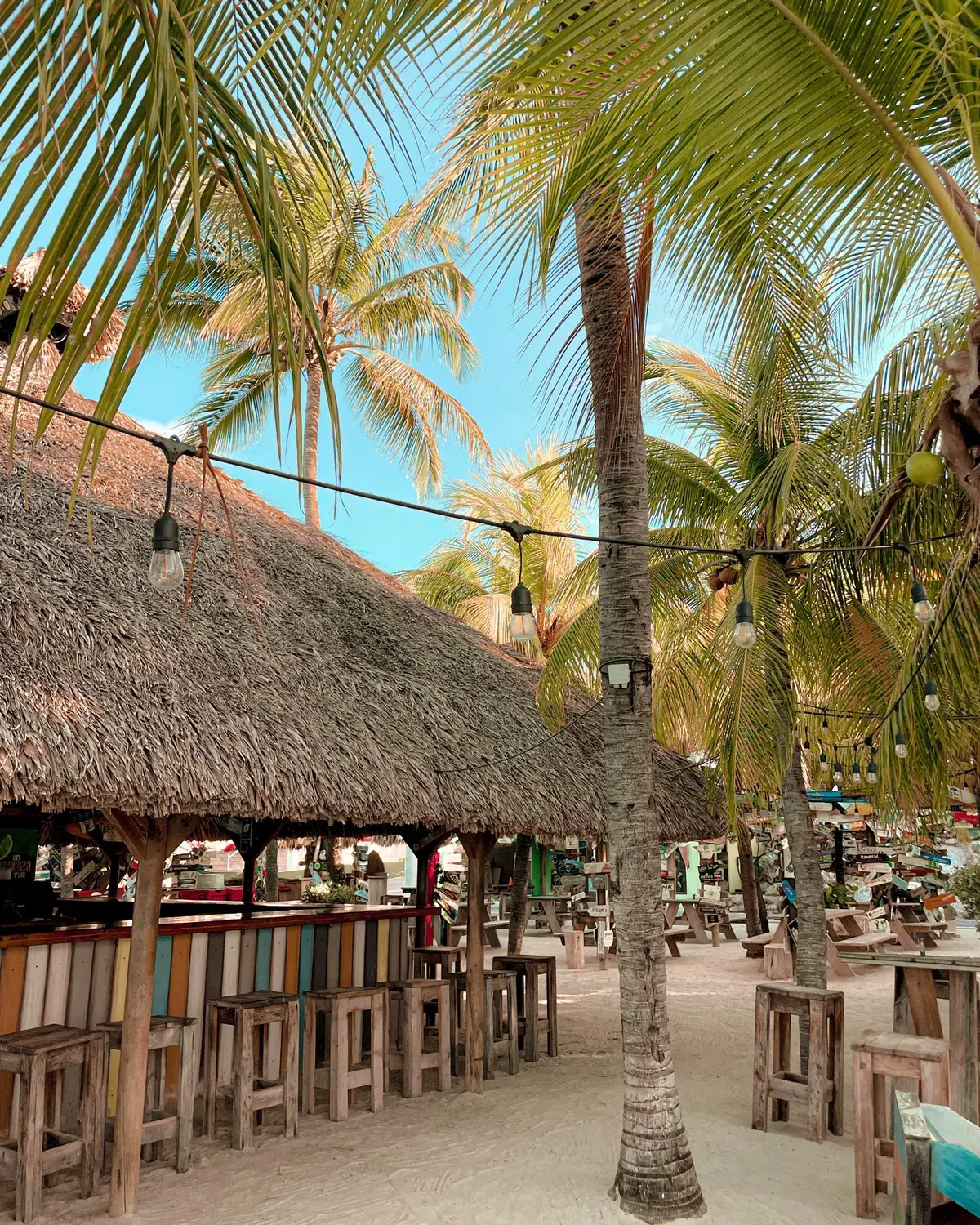 Strand bar Chill Lions Dive Beach Resort