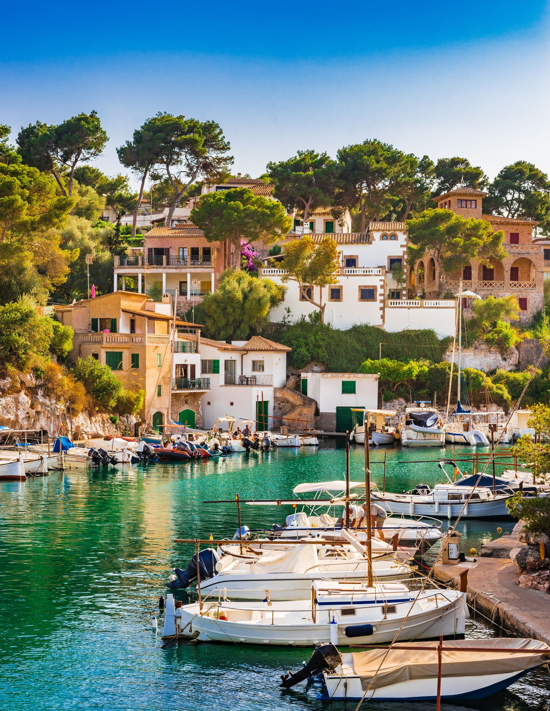 Mallorca Cala Figuera