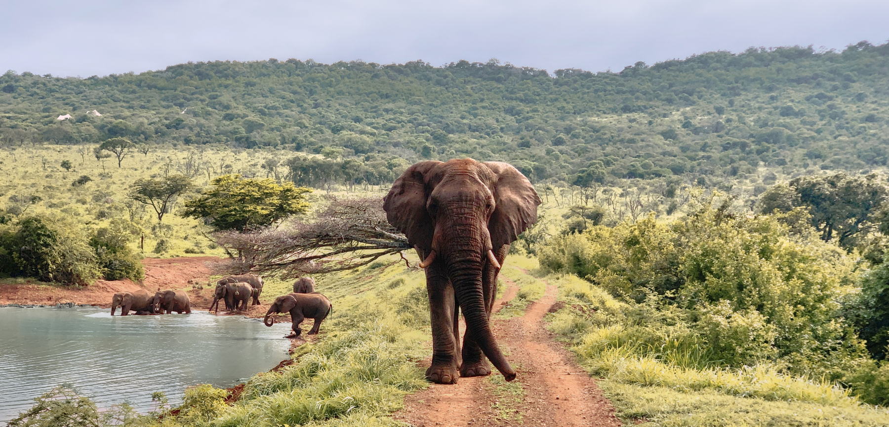 Senses | Jumeirah Thanda Safari