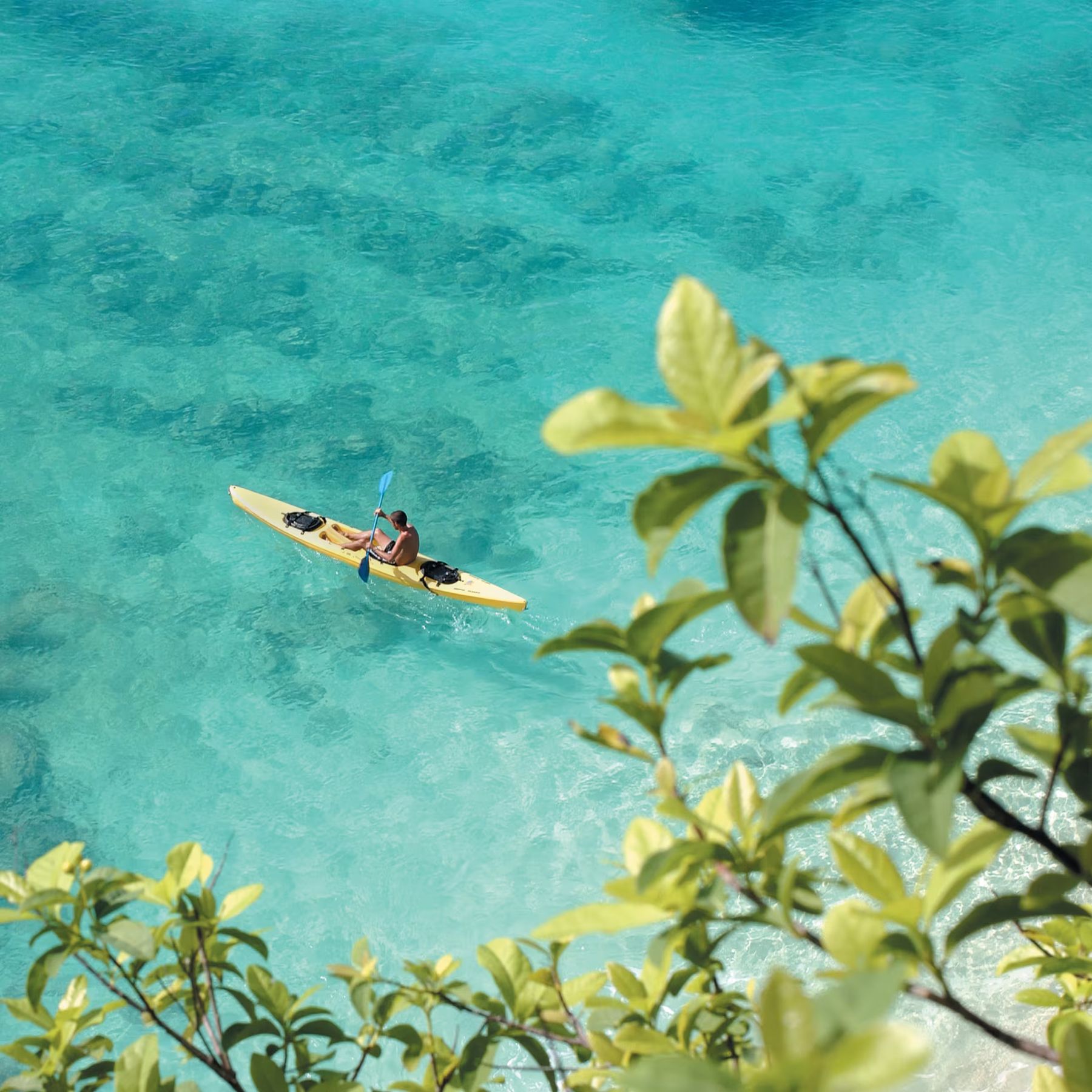 Caribische zee Sint Maarten | Senses