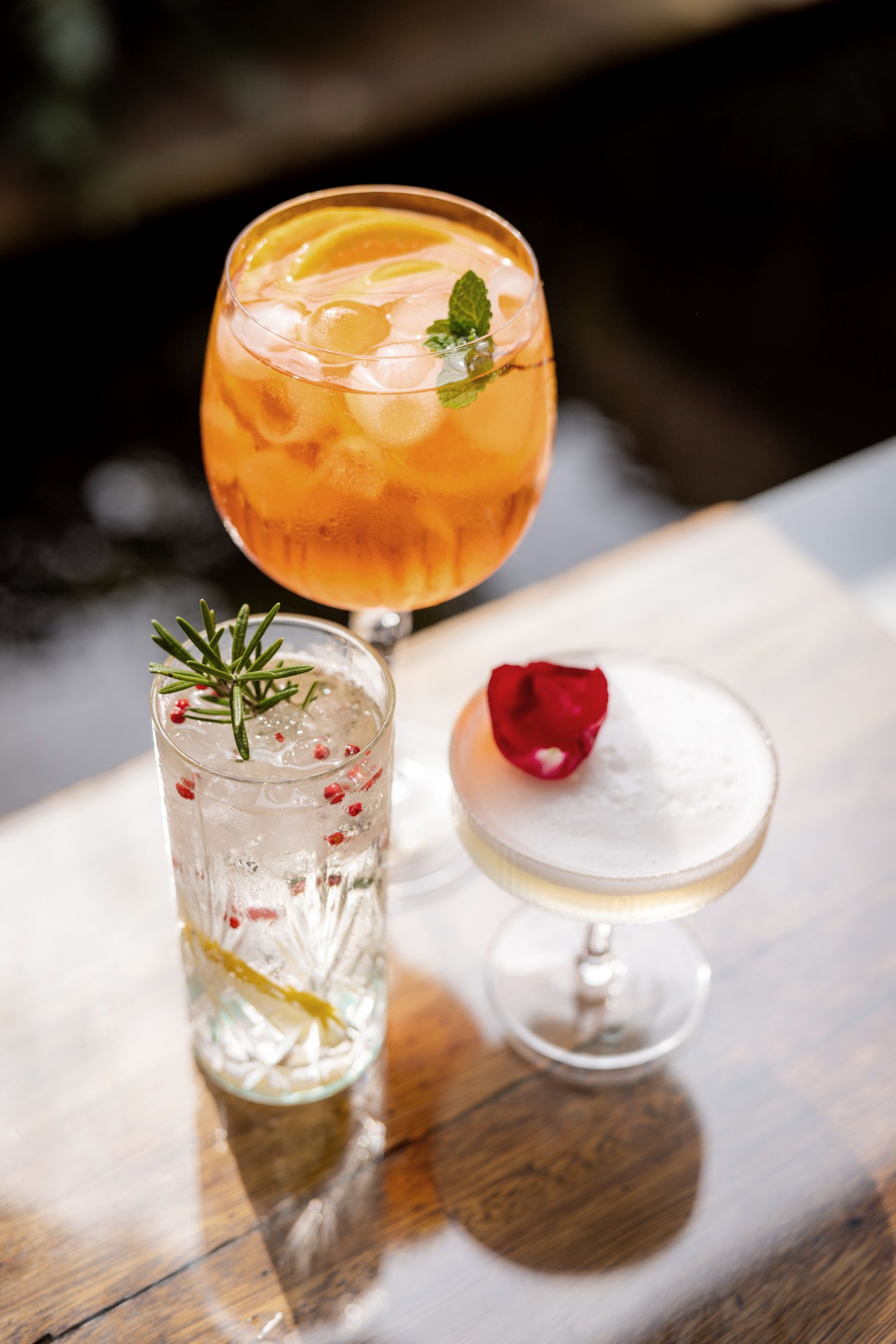 Senses | Jumeirah Thanda Safari Drinks