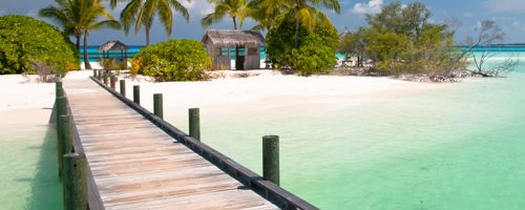 Bahamas Strand | Senses