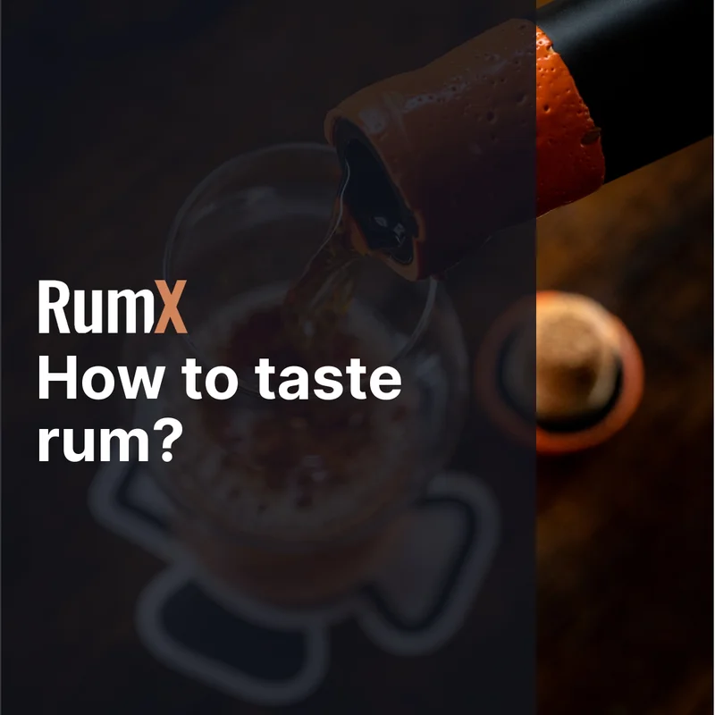 Preview image of the How to taste rum article