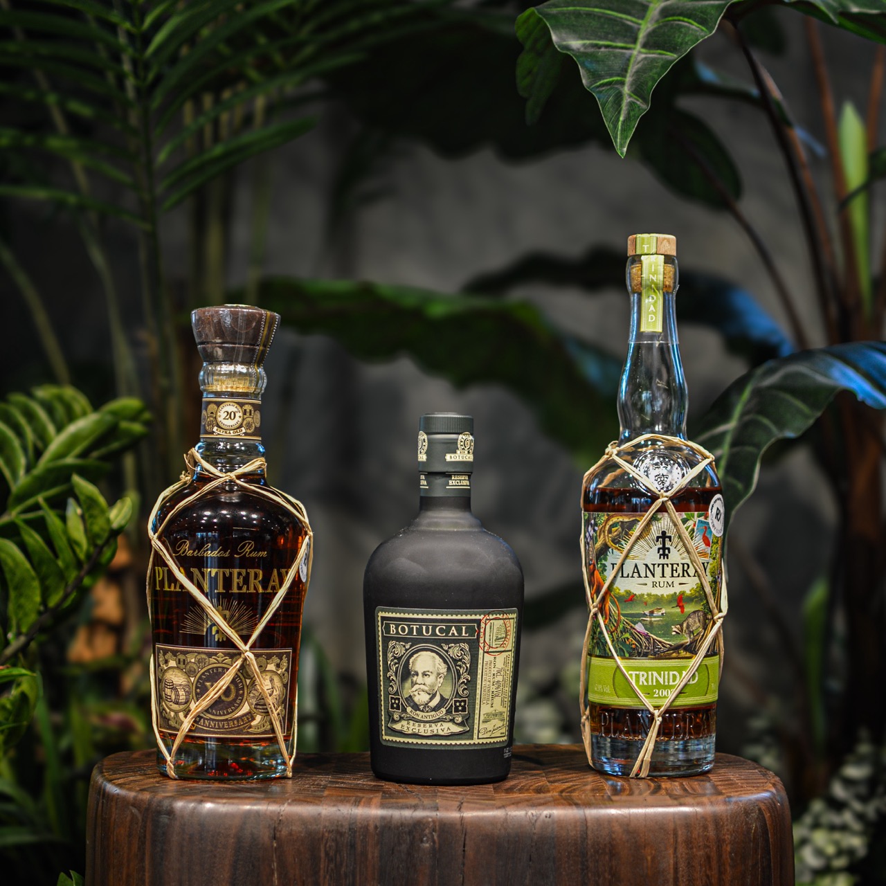 The most popular rums 2025