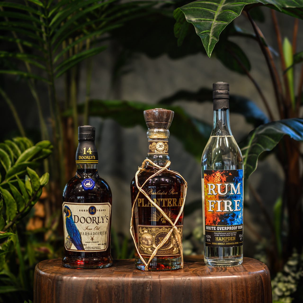 The best classic rums 2025