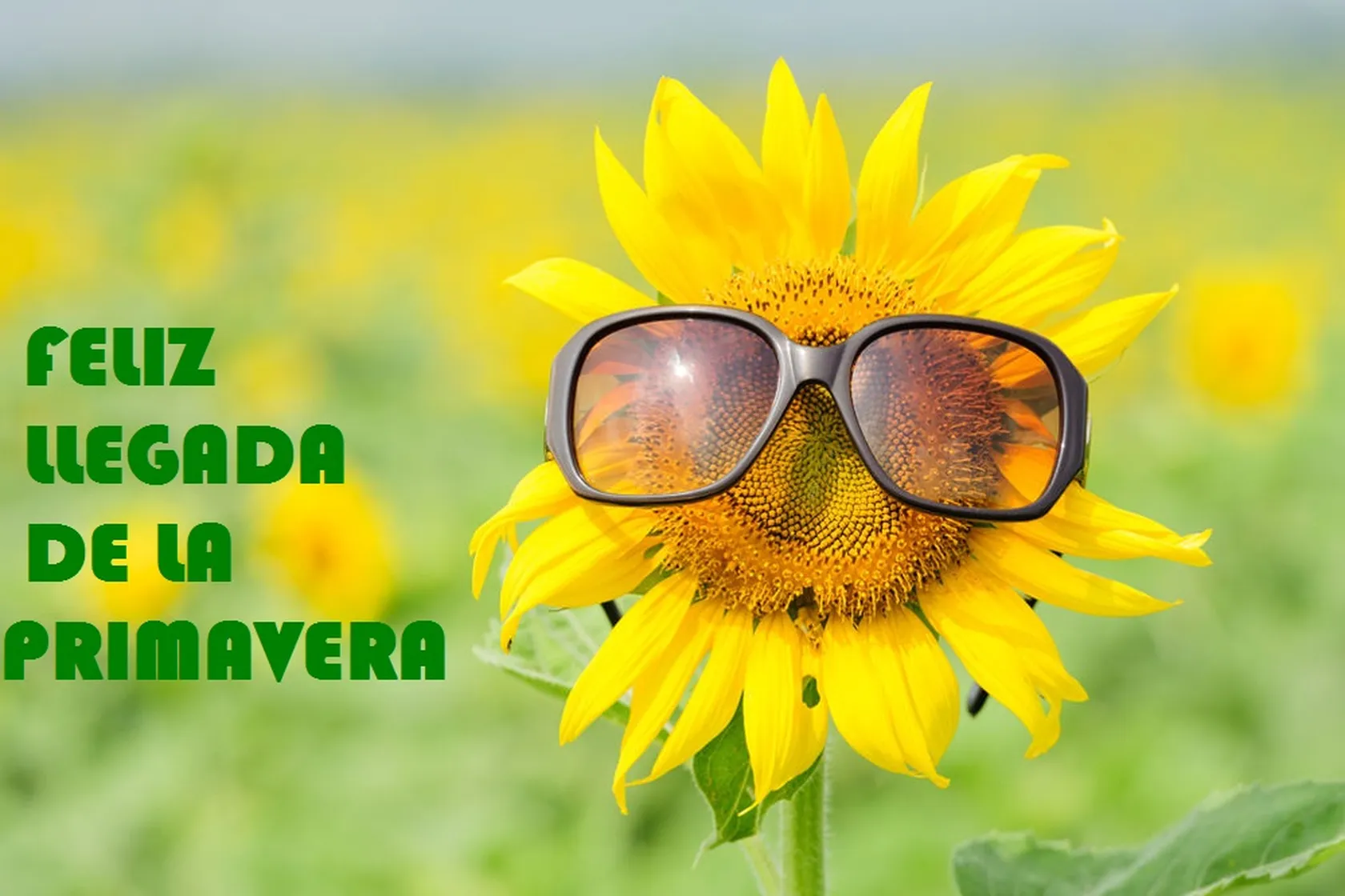 Primavera_astenia_vista_medical_optica.jpg