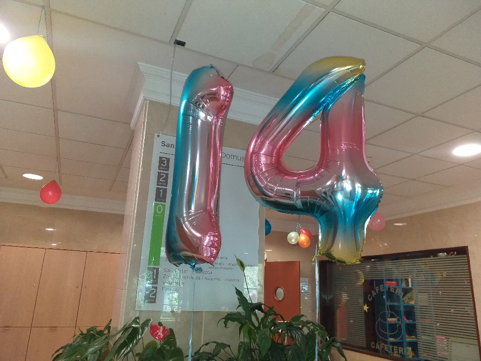 fotos-2.-globos-14..png