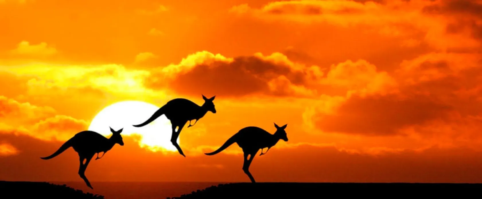 curiosidades-sobre-australia-1-1023x424-1.jpg